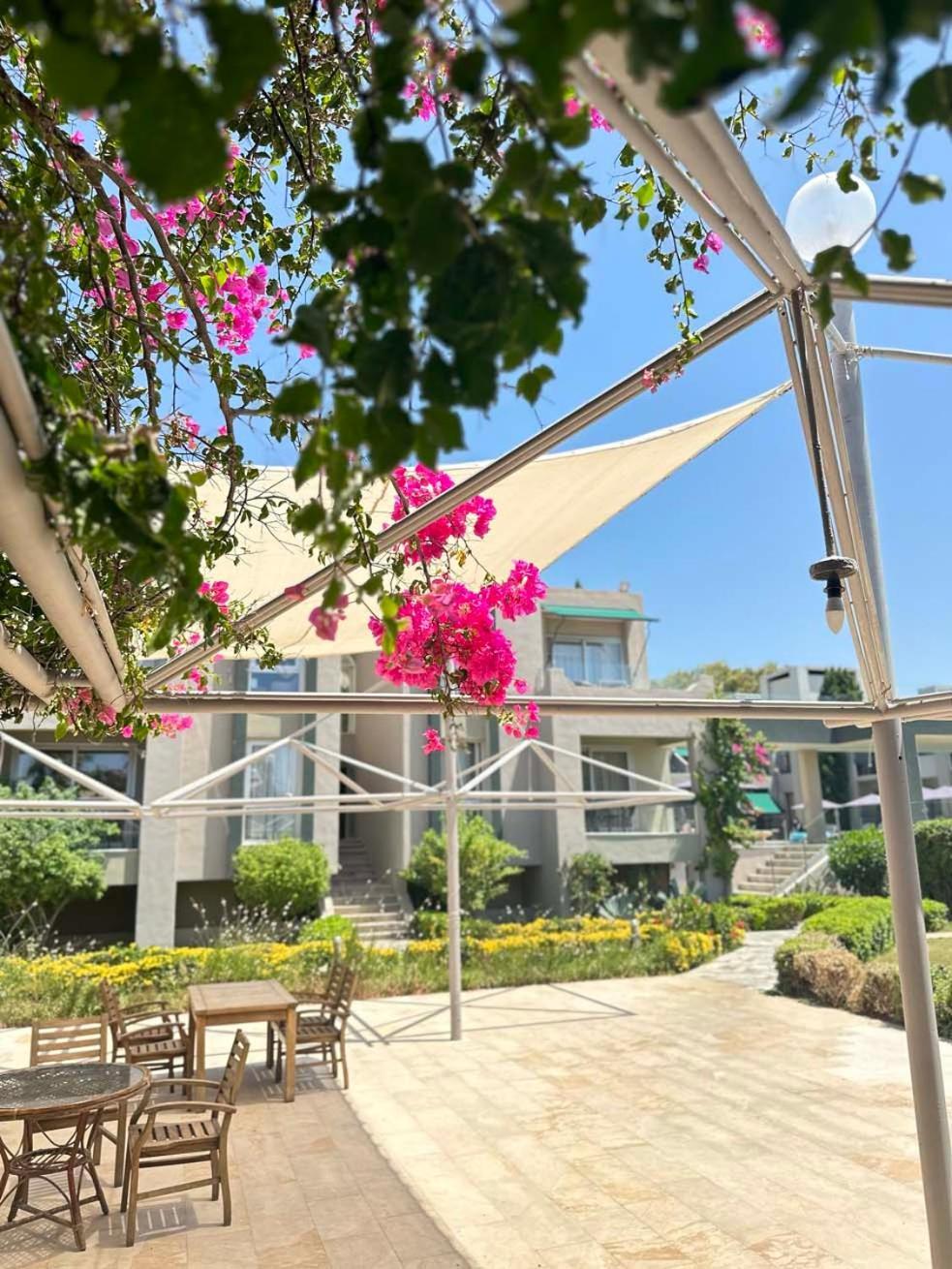Ambrosia Hotel Beach & Spa บิเตซ ภายนอก รูปภาพ